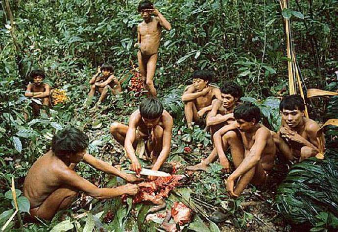  Yanomamo ͬʳ