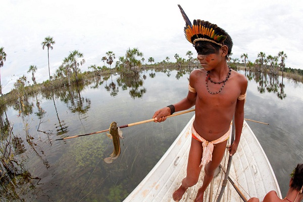 苏里南生活习俗--印第安人弓箭捕鱼