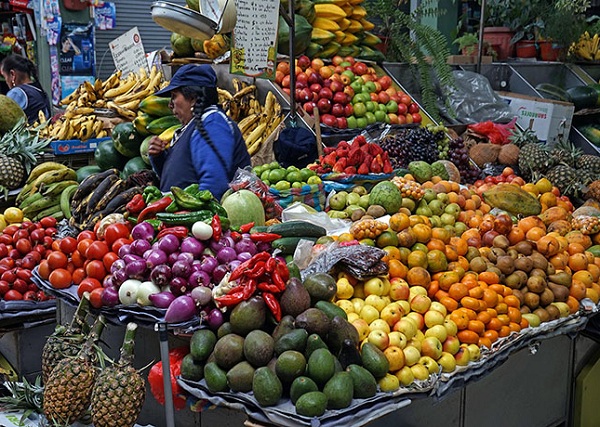厄瓜多尔旅游指南--珍奇水果商贩