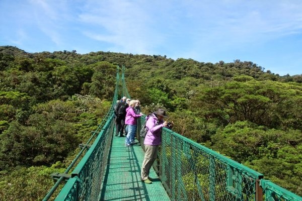 哥斯达黎加（Costa Rica）旅游指南--拿手观光项目：“树顶旅游”