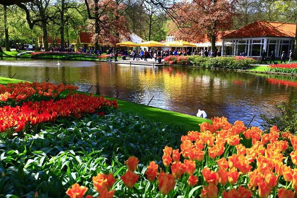 荷兰十大旅游景点一览--荷兰库肯霍夫公园​