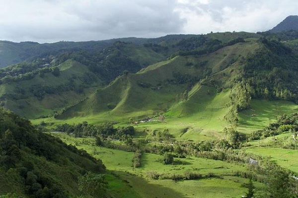 ױξȫ--ױǿĻۣThe Coffee Cultural Landscape of Colombia